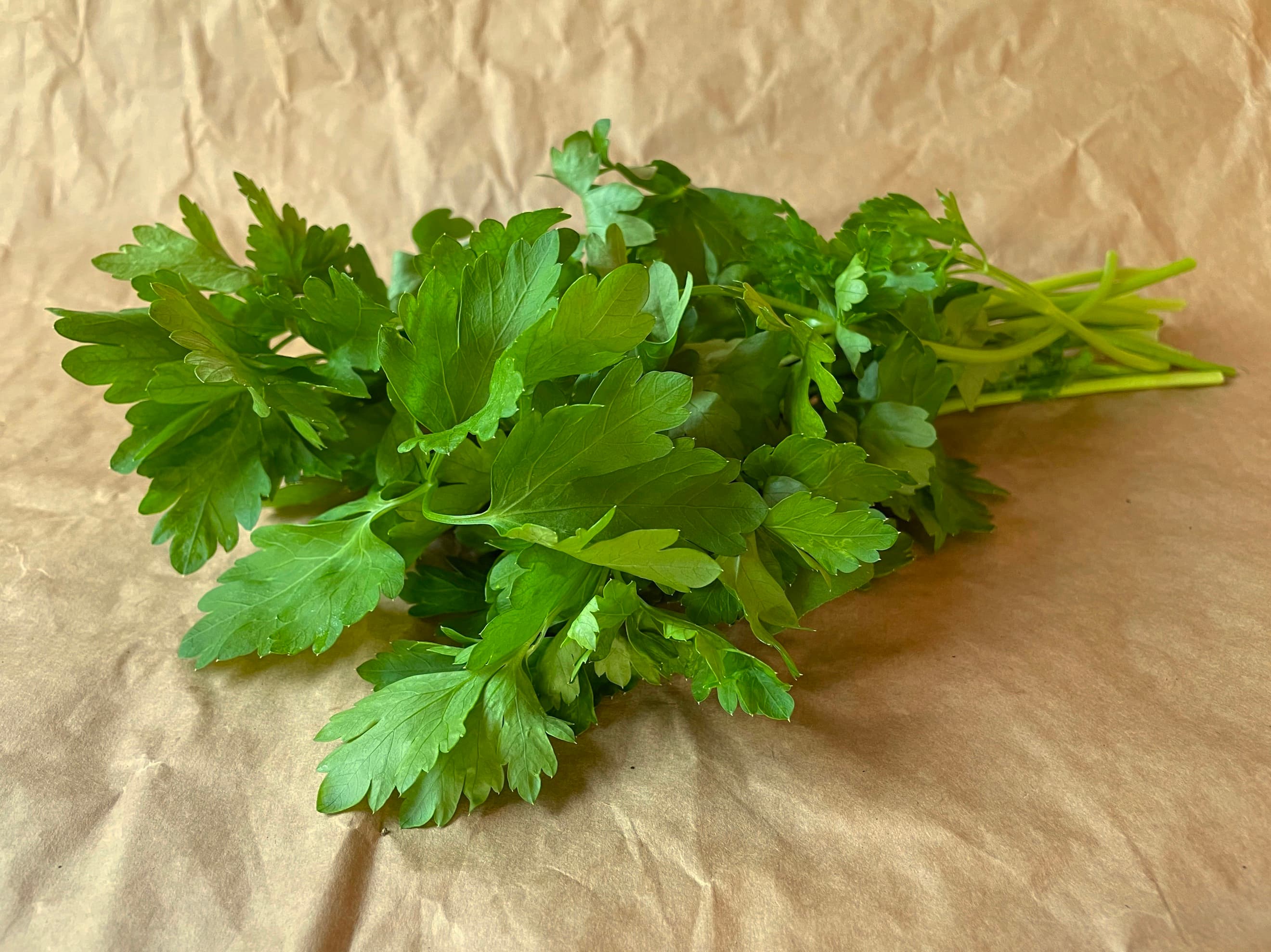 Image of the product