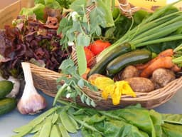 Image of a.Large Veg Box