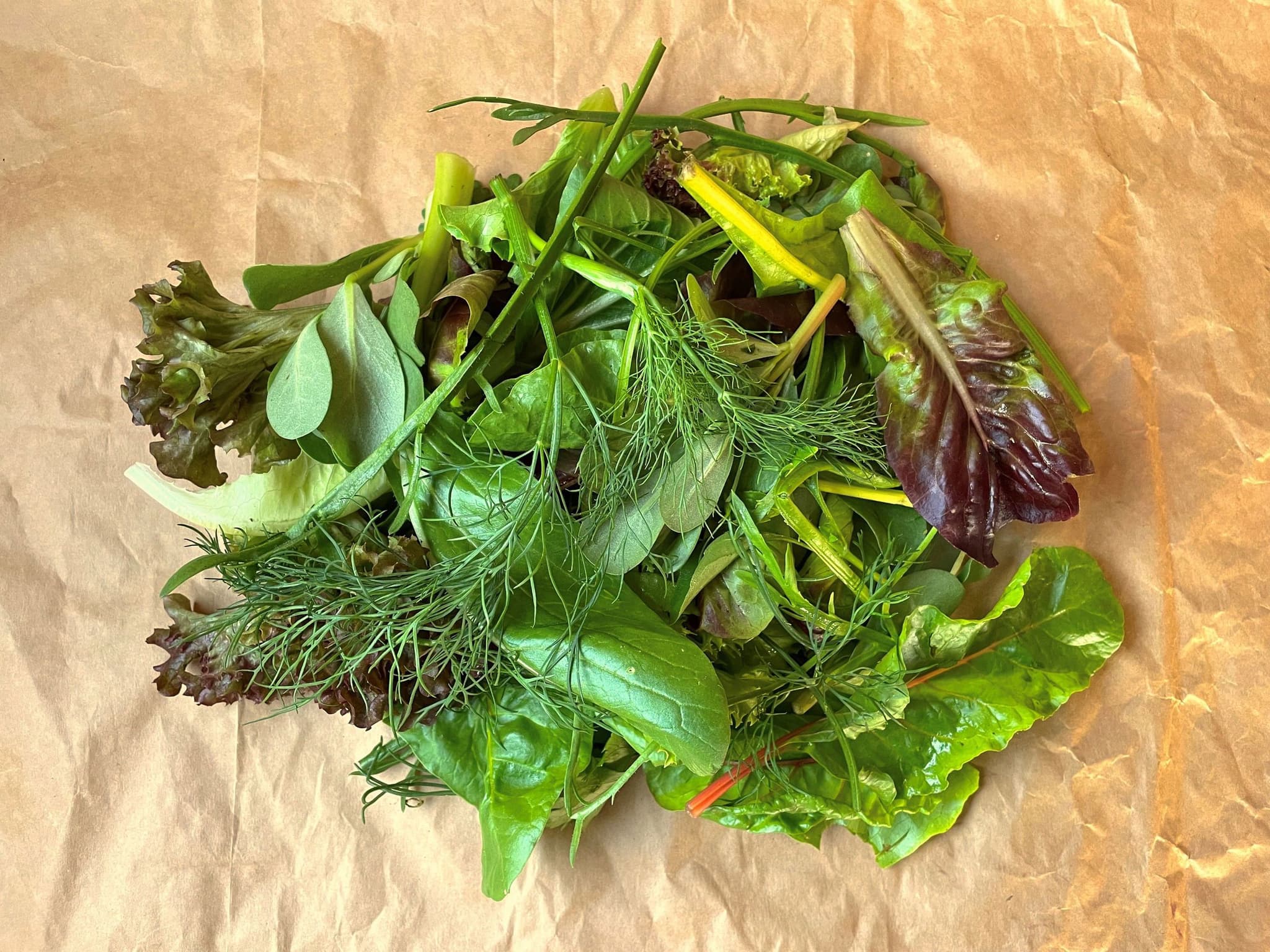 V.Salad: Mixed Leaves - approx 150g