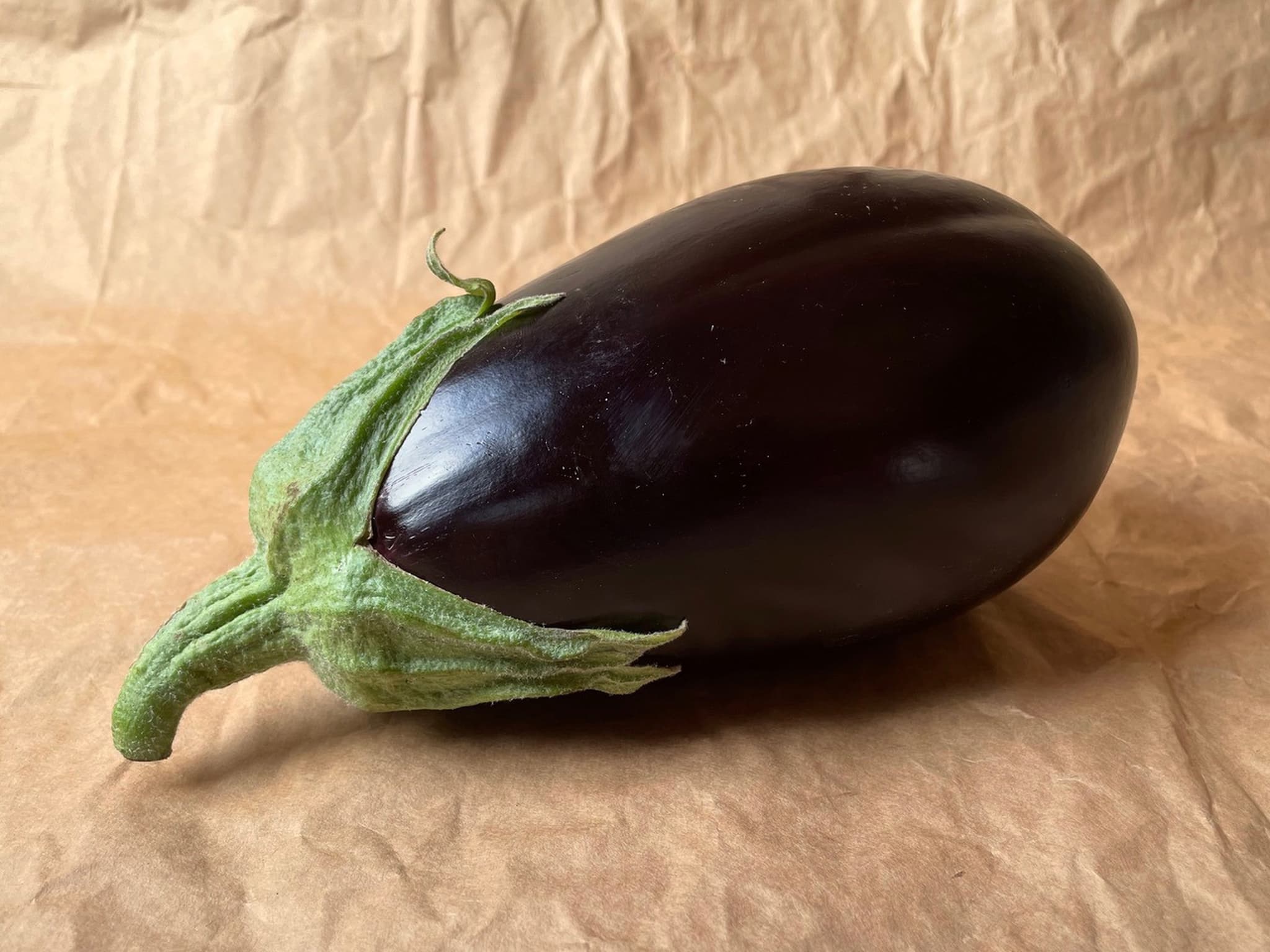 V.Aubergine