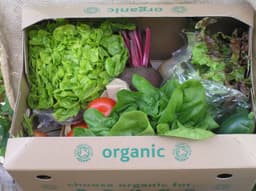 Image of b.Medium Veg Box